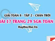 Bài 17 trang 29 Toán 8 Tập 2 Chân trời sáng tạo: Đồ Thị...